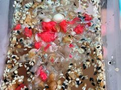 -邢家锅贴老店·非遗·开封菜(金明广场店)