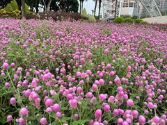 -文华公园(禅城区)