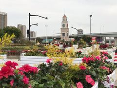 -奥特莱斯停车场