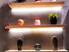 -素匠泰茶(三里屯SOHO工体奶茶店)