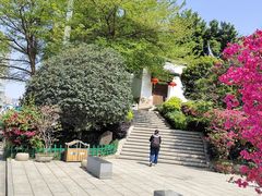 -乌山风景区