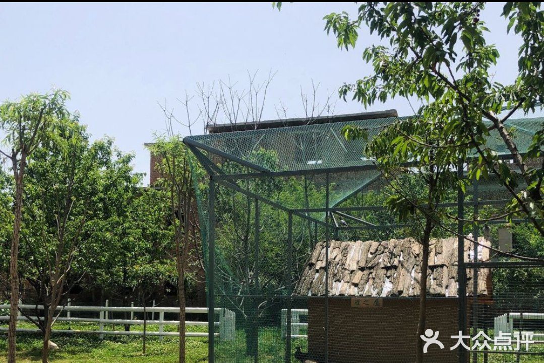 带孩子来农场里面体验大自然，感受大自然吧！