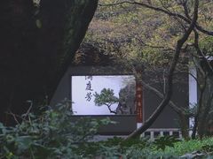 -杭州植物园