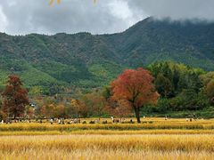 -塔川景区