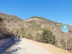 -北京西山国家森林公园