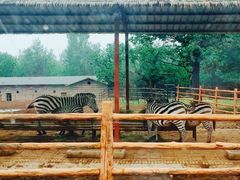 -西安秦岭野生动物园