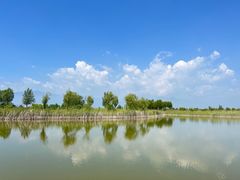 -野鸭湖国家湿地公园