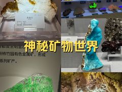 -湖南省地质博物馆