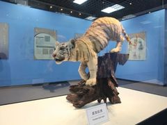 -国家自然博物馆