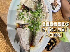 -阿巧茶庄