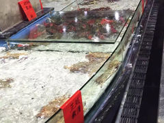 蓝海岸霞浦海鲜-渔傅·蓝海岸霞浦海鲜(正祥店)