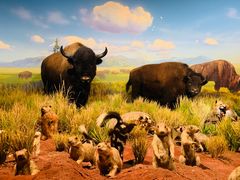 -陕西自然博物馆