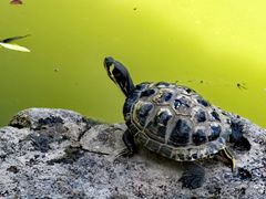 -宣武艺园