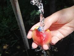 -碓臼峪自然风景区