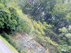 -桃花岭景区