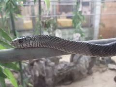 -荔城生鲜盛宴(番禺旗舰店)
