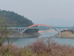 -广州市流溪河国家森林公园