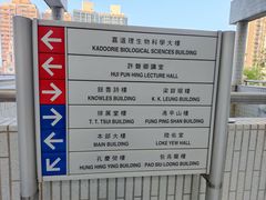 -香港大学