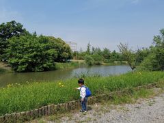 -梁鸿国家湿地公园