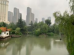 -西苑公园