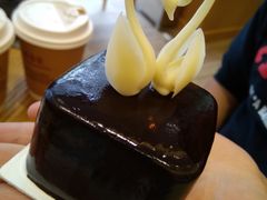 -BLACKSWAN黑天鹅(环球店)