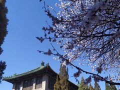 -北京协和医院(东单院区)