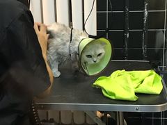 -Goku PET SHOP宠物视觉生活馆(双井店)