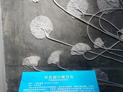 -辽宁古生物博物馆