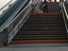 -鱼酷活鱼烤鱼(恒隆广场店)