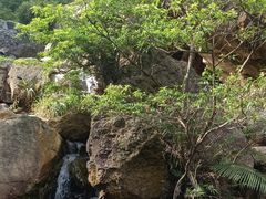 -南海湾森林生态园