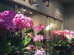 -双季花艺园艺市场(浦东店)