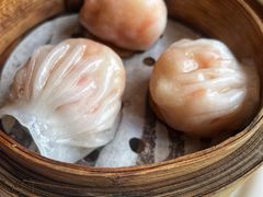 -广州富力君悦大酒店空中花园