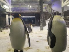 -悉尼海洋生物水族馆