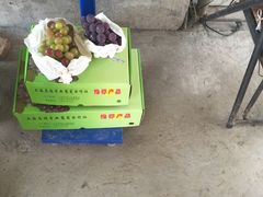 -马陆小张葡萄园农家乐