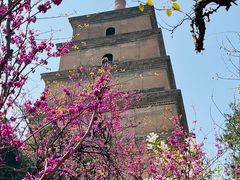 -大慈恩寺(大雁塔)