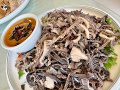 -同发号饭庄(复兴路店)