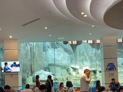 -帝企鹅自助餐厅•儿童岛•真企鹅(长隆企鹅酒店)