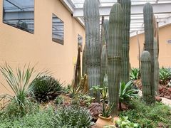 -正佳雨林生态植物园