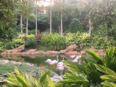 -横琴湾水世界