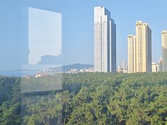 -林海公园