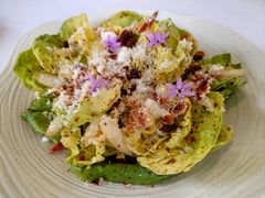 南汇鲜摘奶油生菜芝士沙拉-蝶舍·MAISON PAPILLON