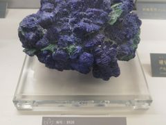 -中国地质博物馆
