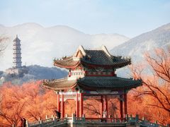 -颐和园