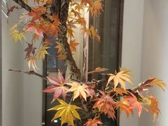 -小天鹅火锅·一线江景洪鼎旗舰店(洪崖洞店)