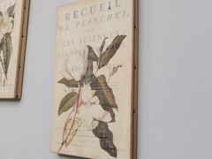 -朝郡酒家·粤菜(燕大星苑店)