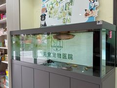 -天宠宠物医院24小时·急重症诊疗中心·全科·腔镜特色(和平分院)