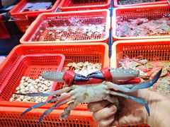 -巽寮印象美食部落餐厅·海鲜·地方特色菜(惠州体验店)