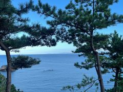 -南紀白浜 浜千鳥の湯 海舟