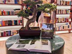 -二酉书店TOYOU BOOKS