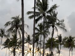 -Sunset Bar(丹绒亚路香格里拉店)